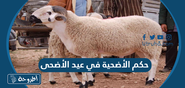 حكم الأضحية في عيد الأضحى