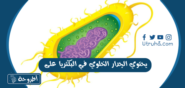 يحتوي الجدار الخلوي في البكتريا على