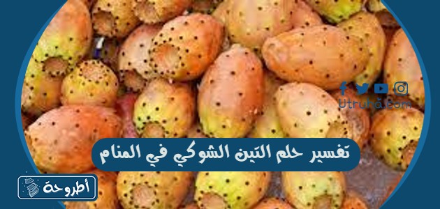 تفسير حلم التين الشوكي في المنام