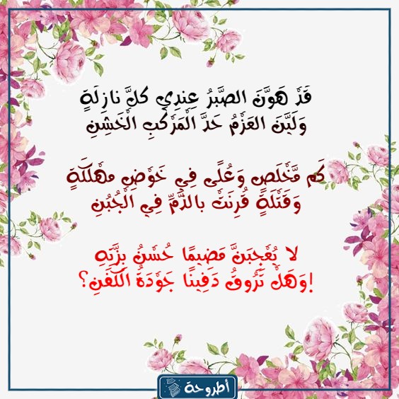 صور أبيات شعر المتنبي