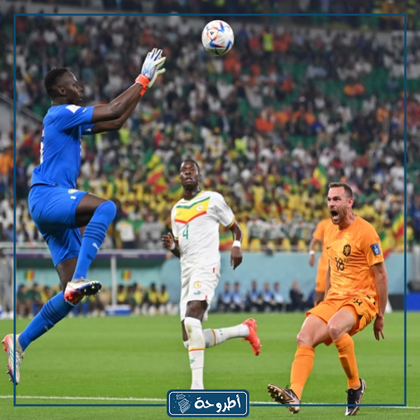 صور من مباراة منتخب السنغال و هولندا