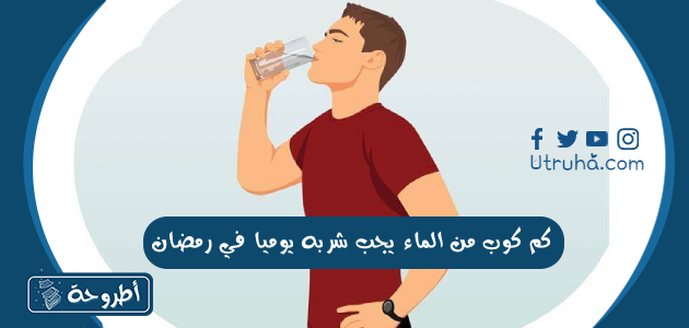 كم كوب من الماء يجب شربه يوميا في رمضان