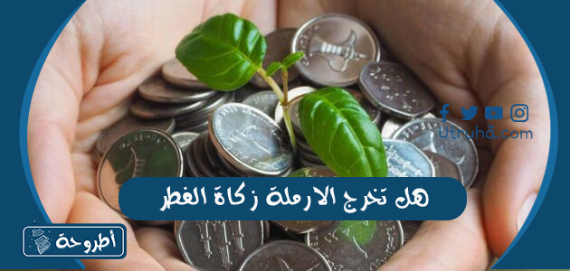 هل تخرج الارملة زكاة الفطر