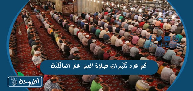 كم عدد تكبيرات صلاة العيد عند المالكية