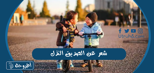 شعر عن الصديق النذل