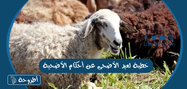 خطبة لعيد الأضحى عن أحكام الأضحية