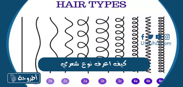 طريقة معرفة نوع شعري