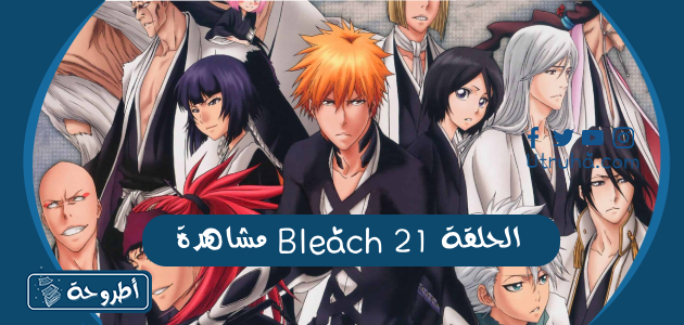 مشاهدة Bleach الحلقة 21