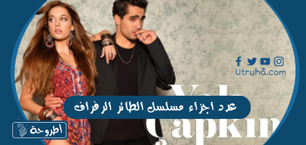 عدد اجزاء مسلسل الطائر الرفراف