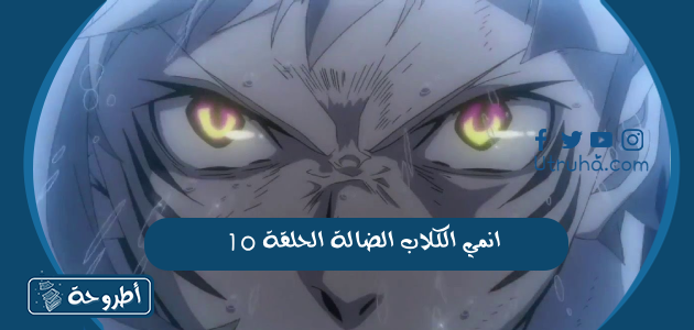 انمي الكلاب الضالة الحلقة 10