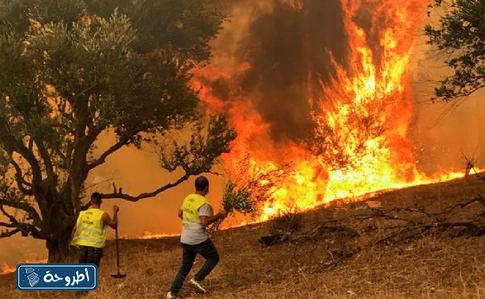 صور حريق الغابات بجاية الجزائر