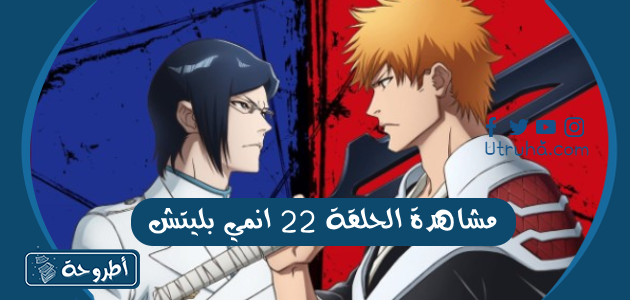 مشاهدة الحلقة 22 انمي بليتش