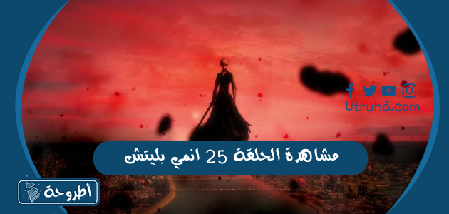 مشاهدة الحلقة 25 انمي بليتش