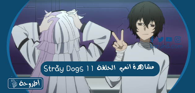 مشاهدة انمي Stray Dogs الحلقة 11