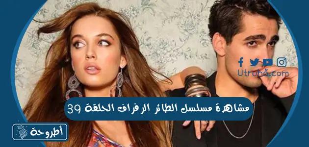 مشاهدة مسلسل الطائر الرفراف الحلقة 39