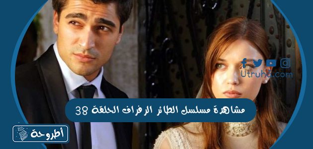 مشاهدة مسلسل الطائر الرفراف الحلقة 38