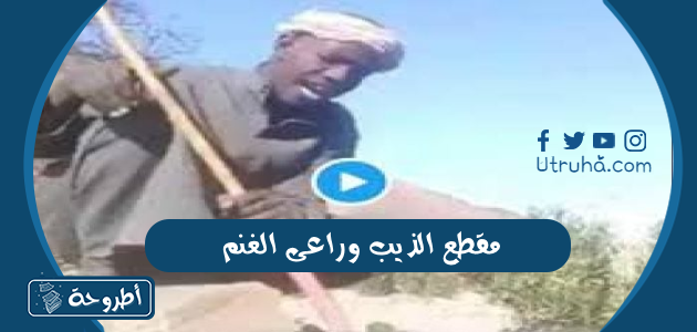 مقطع الذيب وراعى الغنم