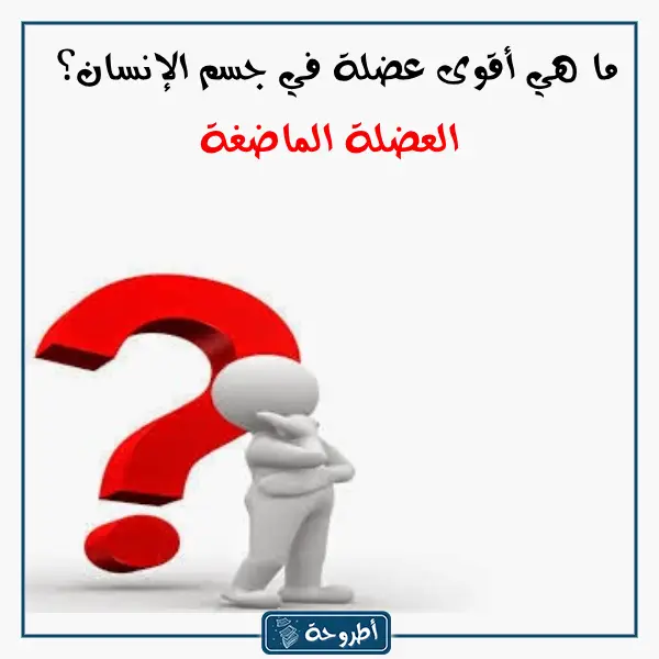 اسئلة ثقافية بالصور