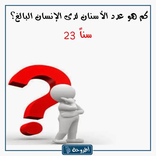 اسئلة ثقافية بالصور