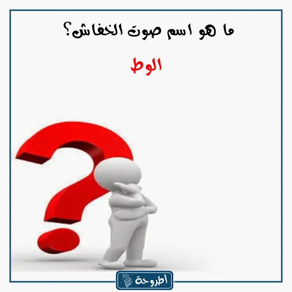 اسئلة ثقافية بالصور