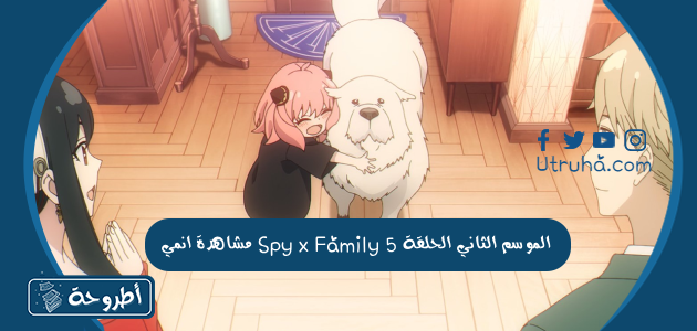 مشاهدة انمي Spy x Family الموسم الثاني الحلقة 5