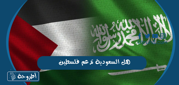 هل السعودية تدعم فلسطين