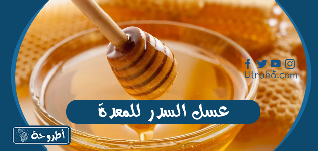 عسل السدر للمعدة