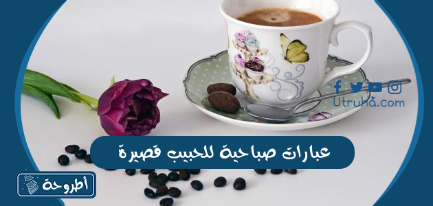 عبارات صباحية للحبيب قصيرة