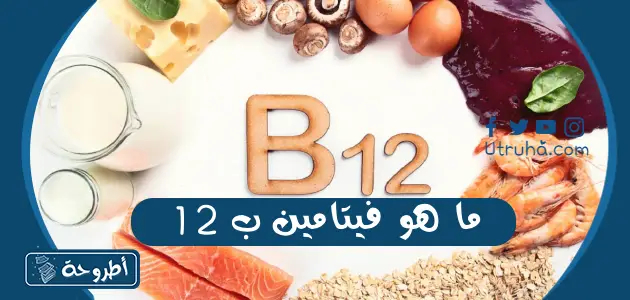 ما هو فيتامين ب 12