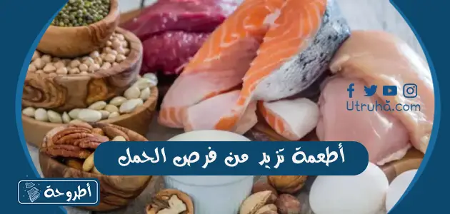 أطعمة تزيد من فرص الحمل