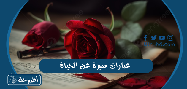 عبارات مميزة عن الحياة