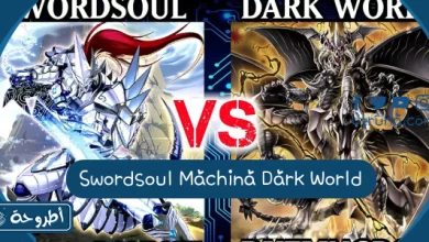 Swordsoul Machina Dark World