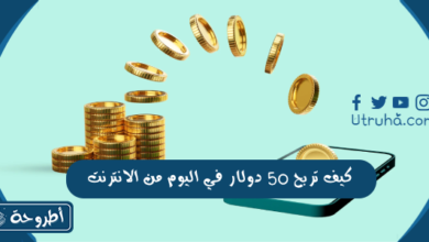 كيف تربح 50 دولار في اليوم من الانترنت