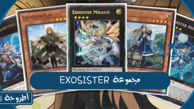 مجموعة EXOSISTER