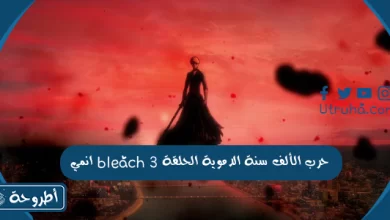 انمي bleach حرب الألف سنة الدموية الحلقة 3